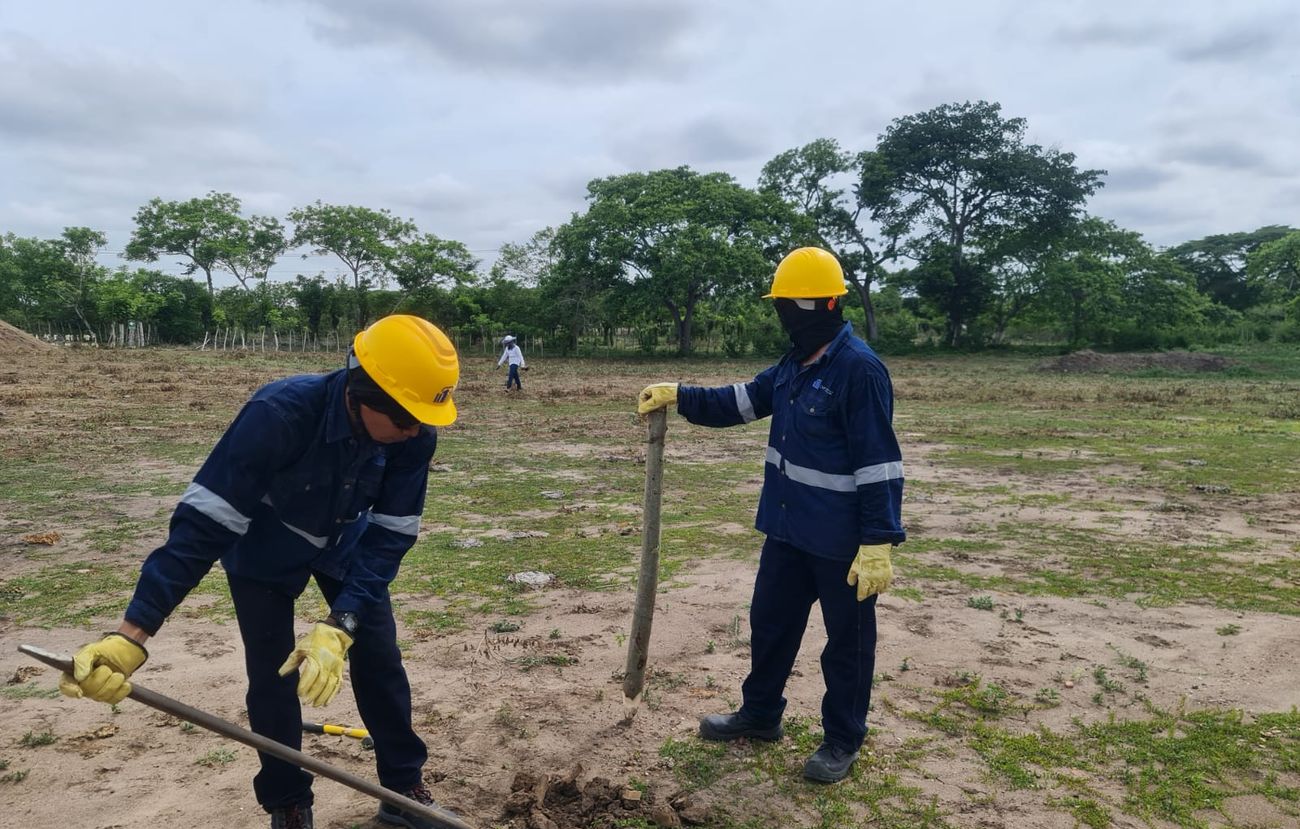 Setting out and field work on site